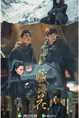 青青草在线视频观 - 贝壳视频