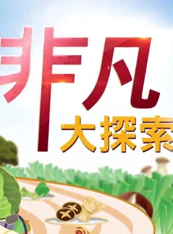 超火韩妹小姐姐推荐极品美图情人节前凸后翘真让人欲罢不能啊 - 贝壳视频